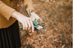 Garten im Herbst: So bereiten Sie Ihren Garten auf die kalte Jahreszeit vor